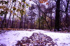 photo 0241